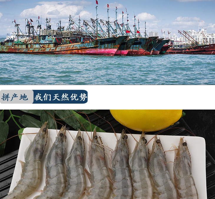 【鲜活】明虾500g 即时送达