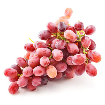 智利 红提 进口水果