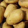 生态羊粪土豆 | 合作生产* Eco- potato | Coproduction 商品缩略图6