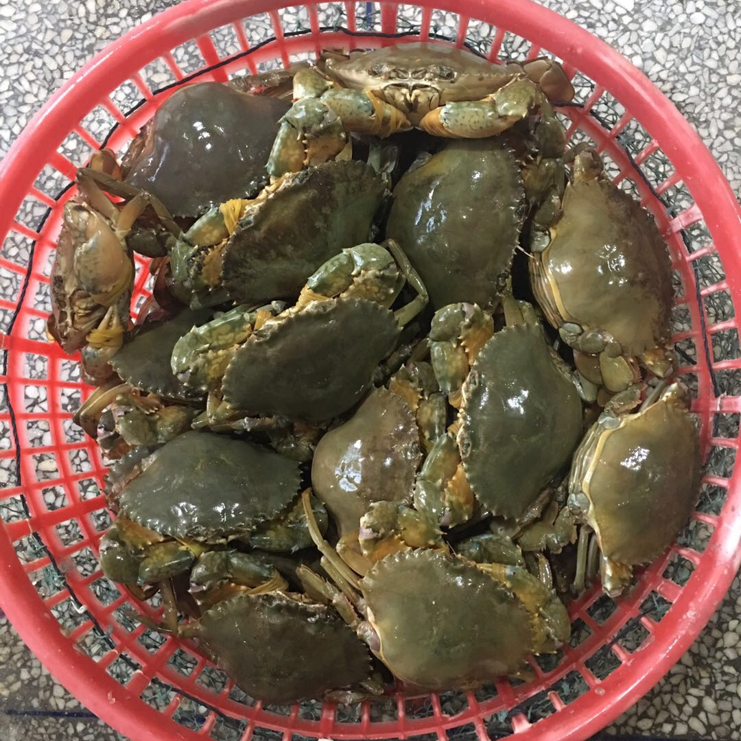 5斤装(3-5只左右)肉质鲜美 营养丰富 海鲜类产品