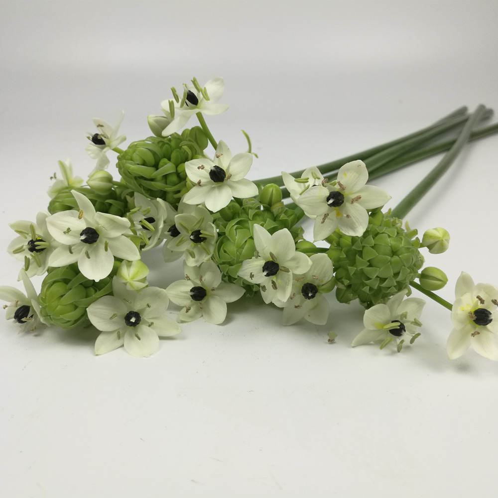 国产花材天鹅绒伯利恒之星5支