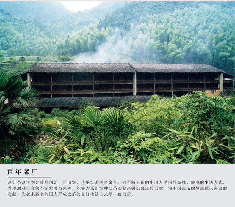 武夷山桐木关正山小种 500g