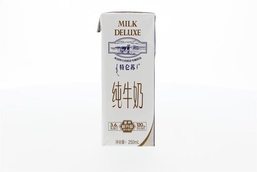 特仑苏纯牛奶250ml 商品图0