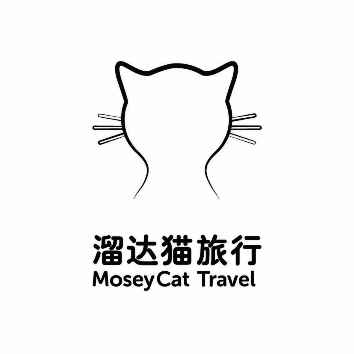 溜达猫旅行200511