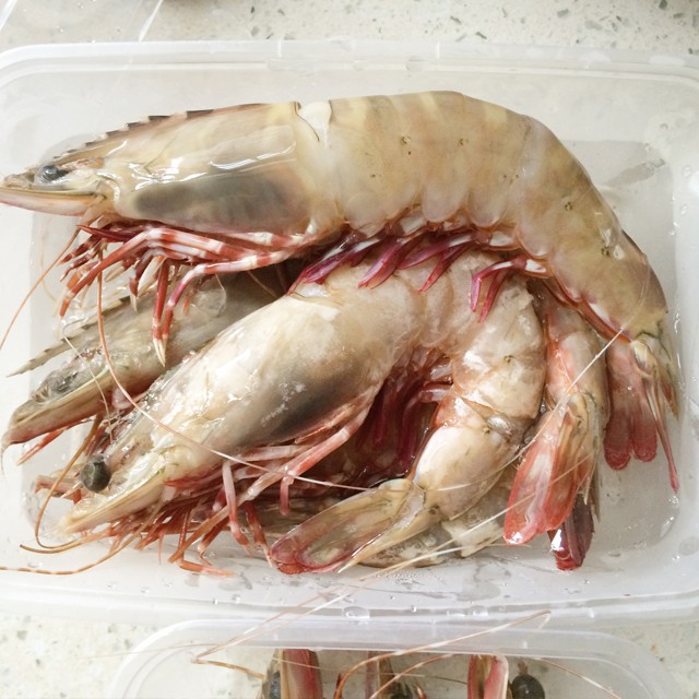 【大智若渔】北部湾速冻新鲜大鬼虾