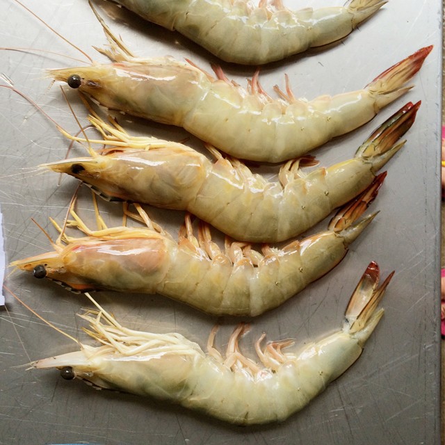 【大智若渔】北部湾新鲜速冻鲜嫩明虾