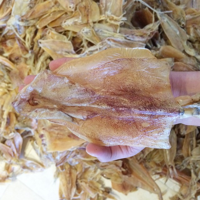 【大智若渔】北部湾鱿鱼干