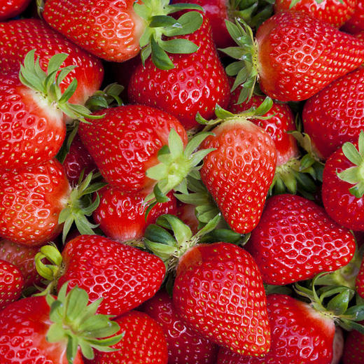 全国包邮 基地直发 彩虹雨生态水果 新鲜现摘生态草莓4盒装共4斤 无