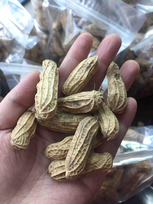 店长推荐缅甸野生七彩花生丰富营养生吃有甜味2斤装包邮预售1周发货