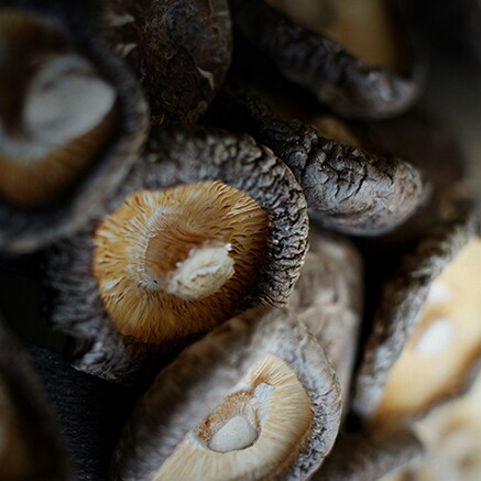 富硒干香菇 品尝之后 叹山珍少此一物