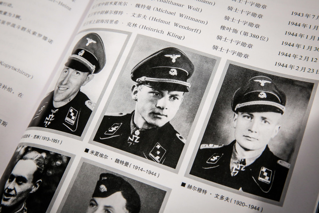 德国装甲部队无疑是最引人瞩目的,而其中又以国防军序列和党卫军序列