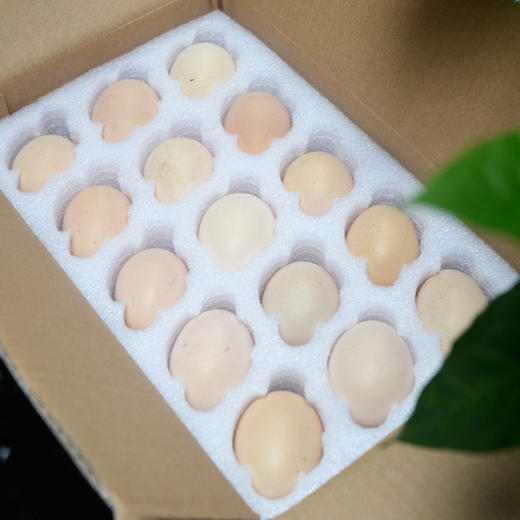 山养土鸡蛋(粉壳) 商品图2