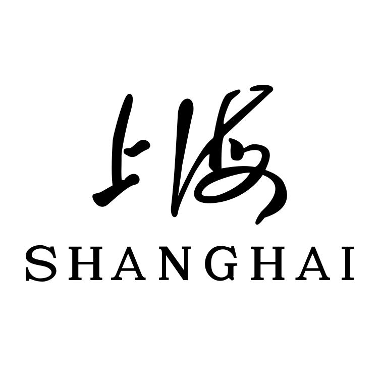 限时特价上海牌经典臻藏送礼优选礼盒装机械表a581