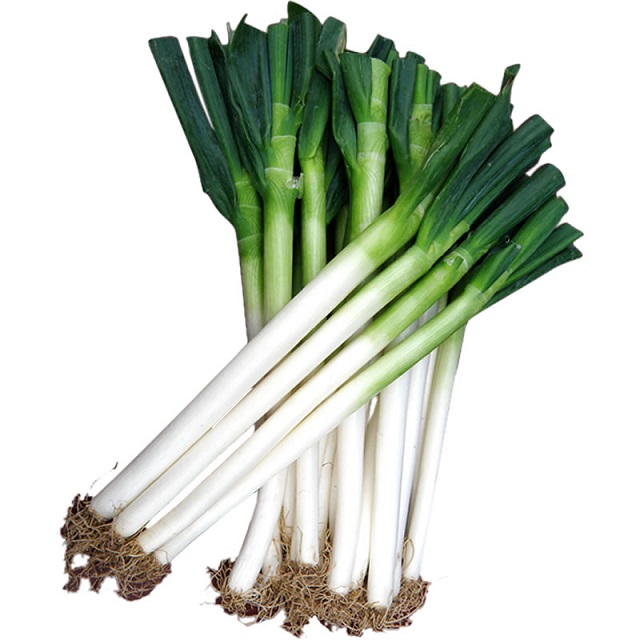 大葱 一根约200g - 新供销侨润生鲜商城