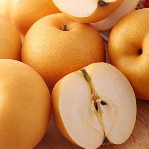 江南蜜 冰糖秋月梨 细腻无渣 脆甜多汁