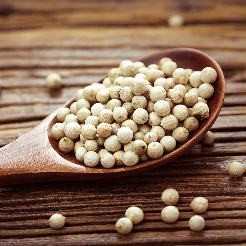 方家铺子丨白胡椒 烧菜炖肉配料 50g