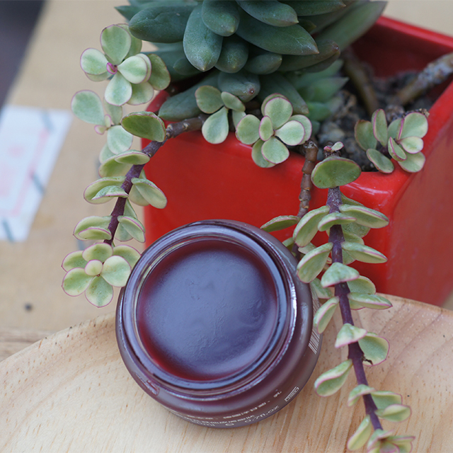 汝芝颜九制紫草膏