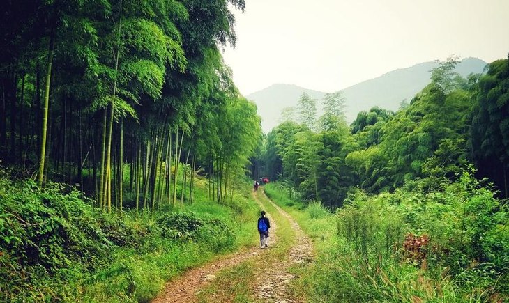 5.27徒步天字古道,探寻塘栖古镇的旧时光(1天活动)