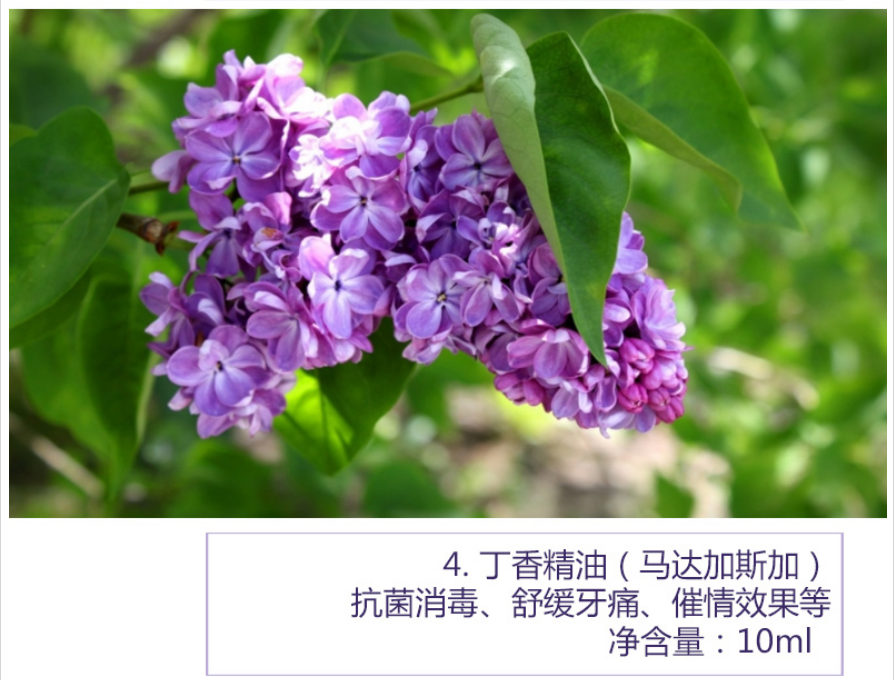 英佐依inooze植物单方精油169系列