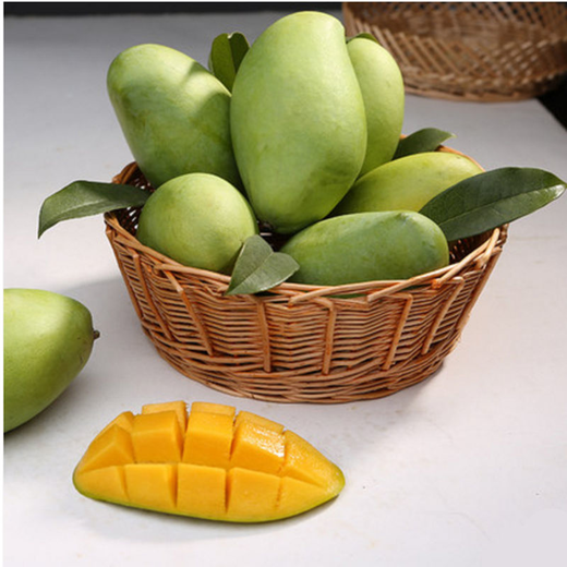 严选|广西玉芒 小青芒 5斤(8-10果) 新鲜水果 青芒果集热带水果精华于
