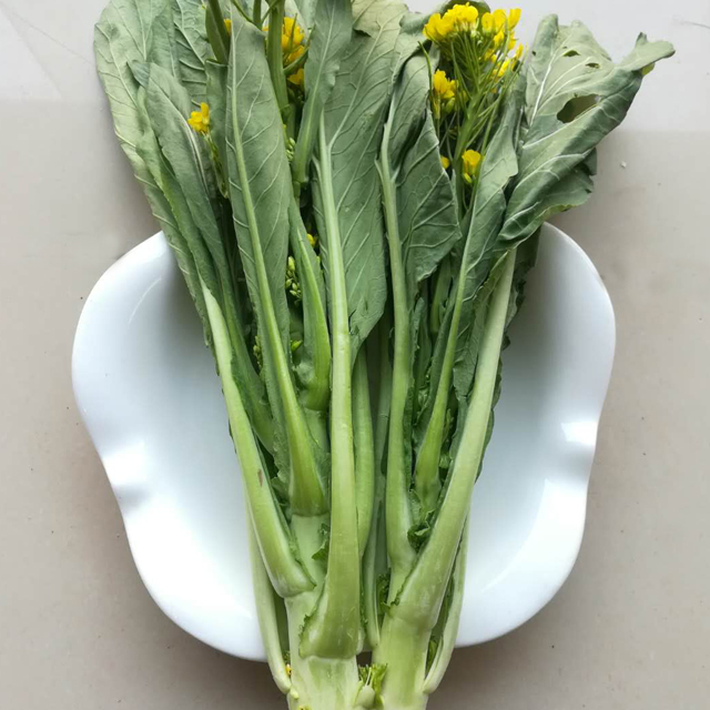 迟菜心!高脚菜!蔬菜之王!