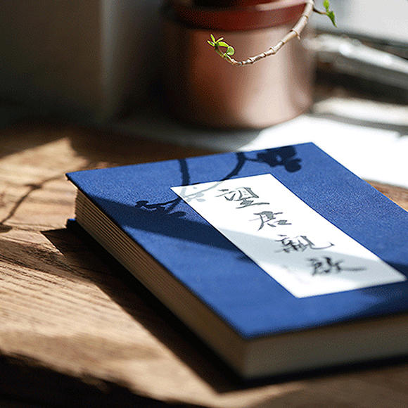 《有书手札·望君亲启》 | 写一封信,望君亲启,见字如面