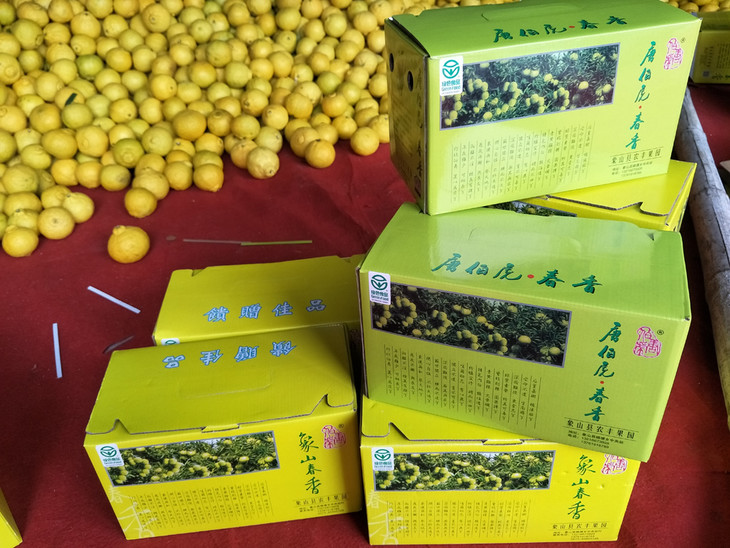 象山春香橘子 甘甜又爽脆 特别耐放 留着过年吃一点没问题