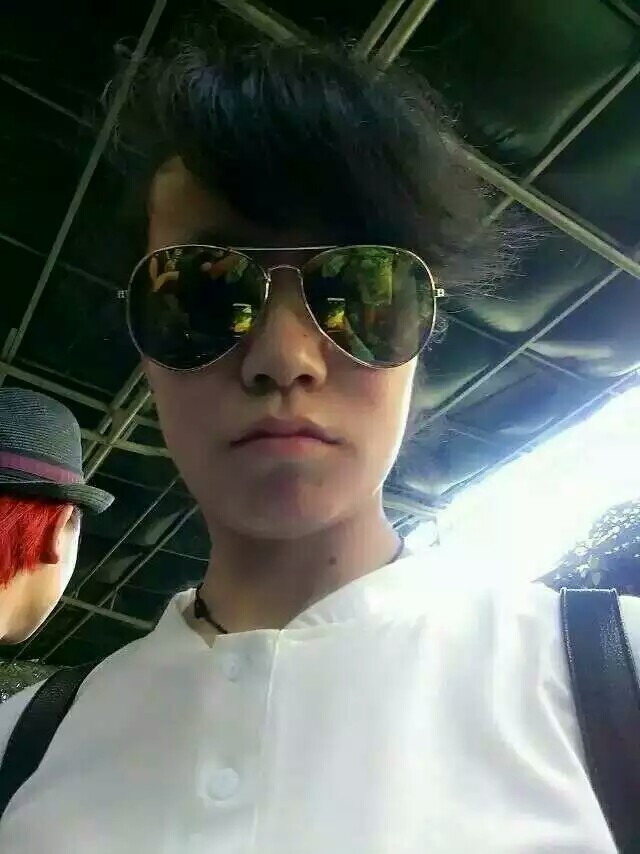 【组合优惠装】 茶人岭 花草茶 胎菊枸杞组合