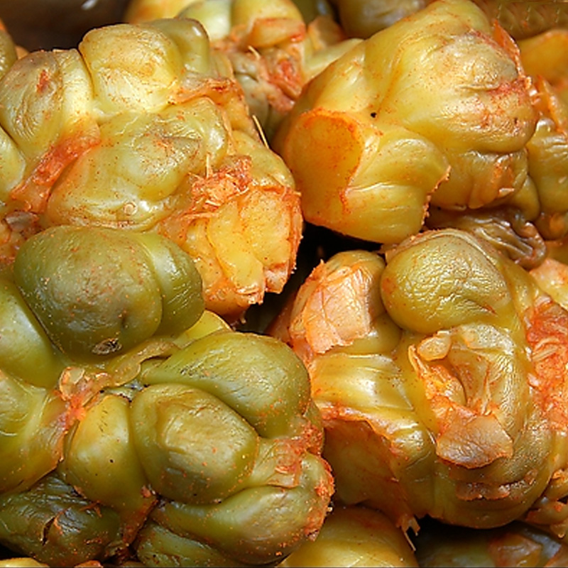 原耕良仓 新鲜现摘蔬菜 芥菜头 农家自种青菜 无农药化肥 500g