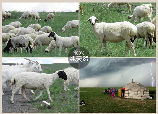 纯天然.jpg
