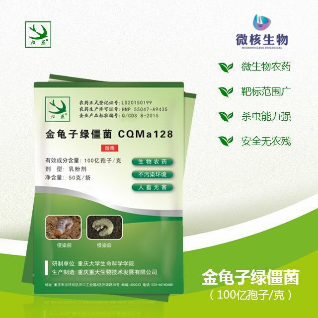 杀虫生物农药——(100亿孢子/克)金龟子绿僵菌