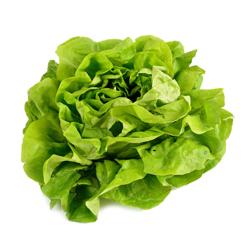 奶油生菜 250g