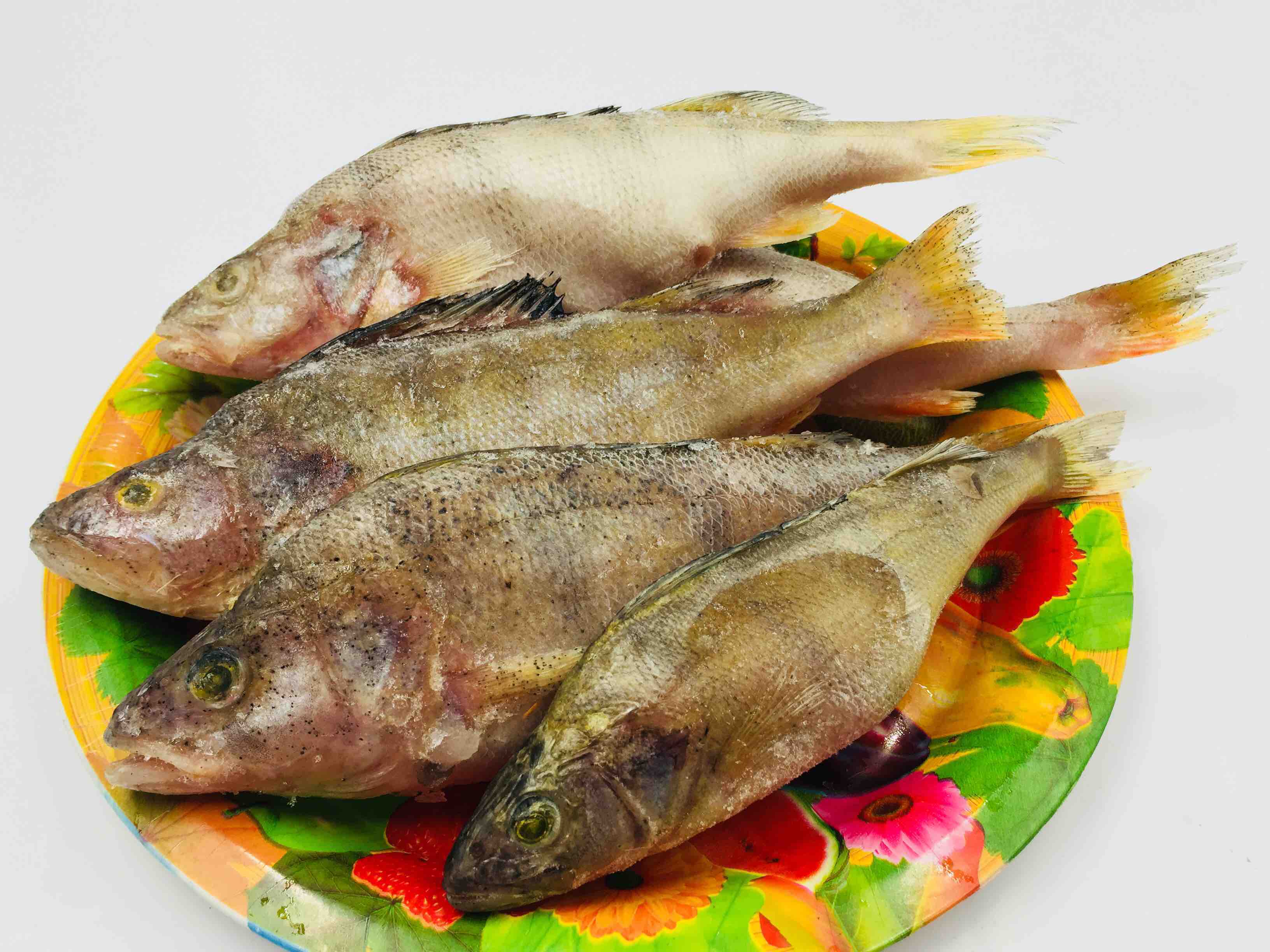 特惠购河鲈鱼 五道黑野生鱼哈萨克斯坦斋桑湖野生冷水鱼商贸城特供价