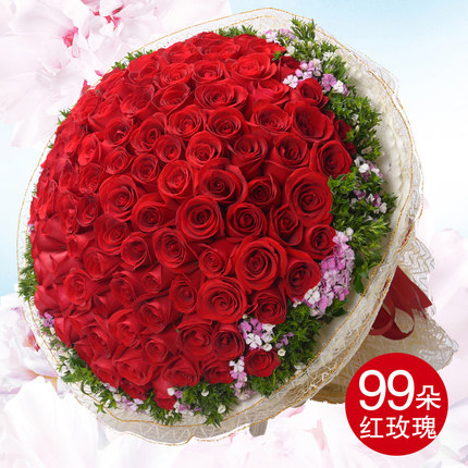 00 款式:  99朵红色玫瑰圆形花束 立即购买     /      支付: 微信