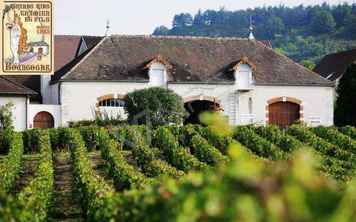 勃艮第-特拉米尔庄园-2010年梅克雷