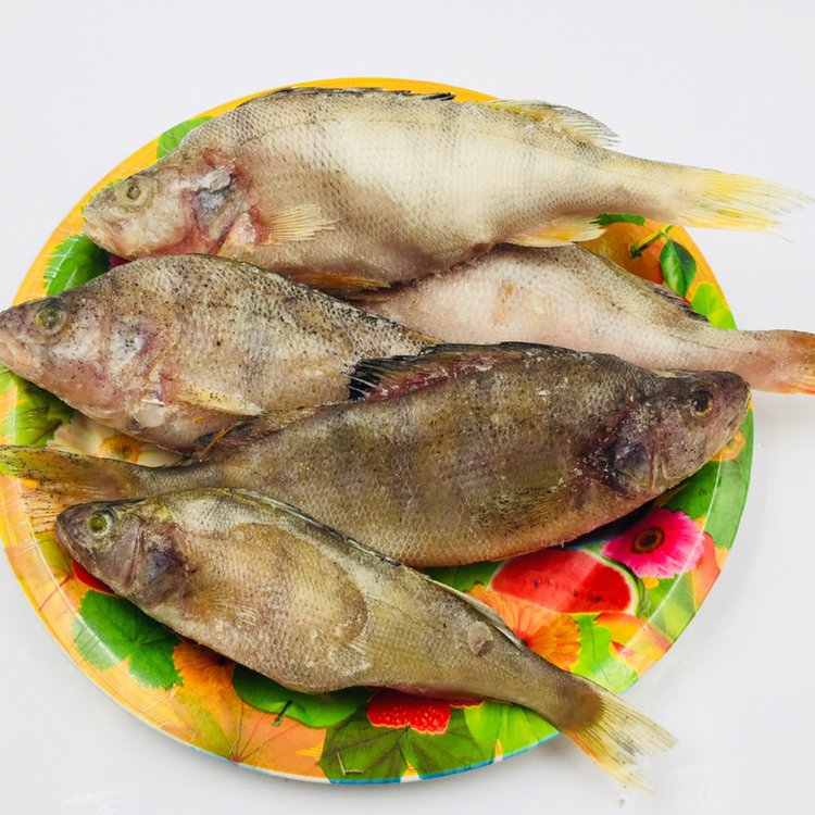特惠购河鲈鱼 五道黑野生鱼哈萨克斯坦斋桑湖野生冷水鱼商贸城特供价