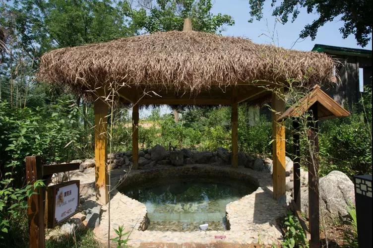 平山温塘——柏坡温泉成人门票(可免费携带一名1.