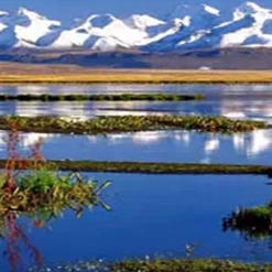 新疆本食甄选200511