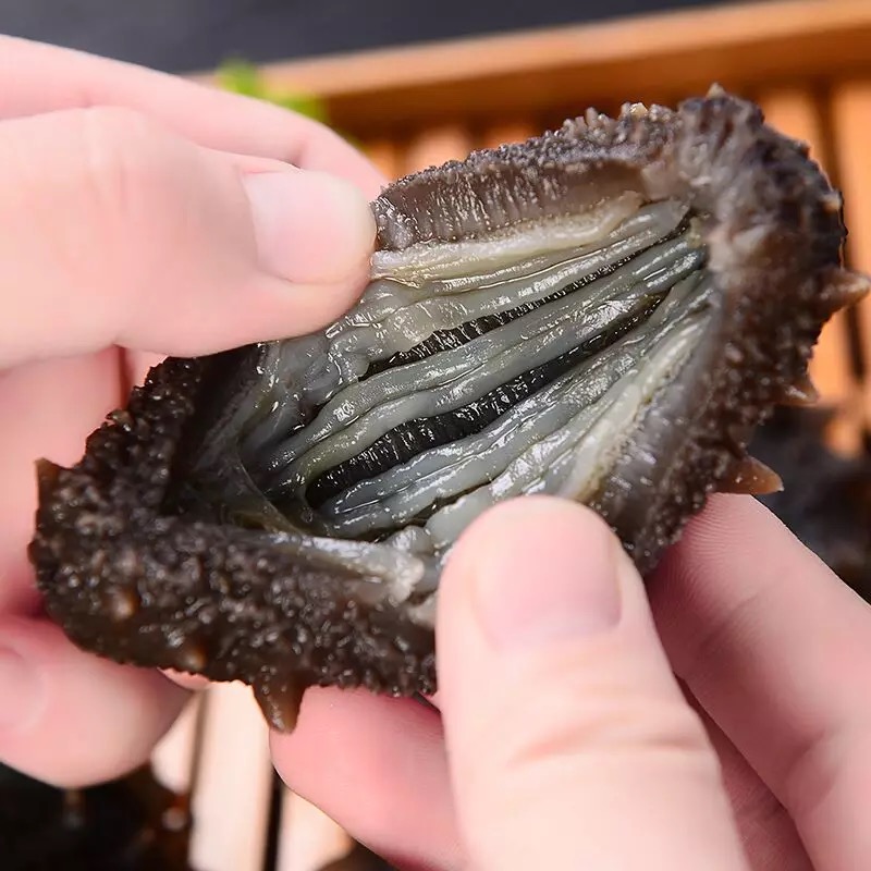 【顺丰包邮】小钦岛即食野生海参(1斤装)