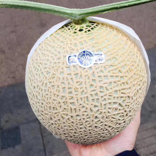 静冈温室网纹蜜瓜🍈 ——完全熟软后，浓浓的蜜瓜香气沁人心脾！一瓜一藤的专注 商品图4