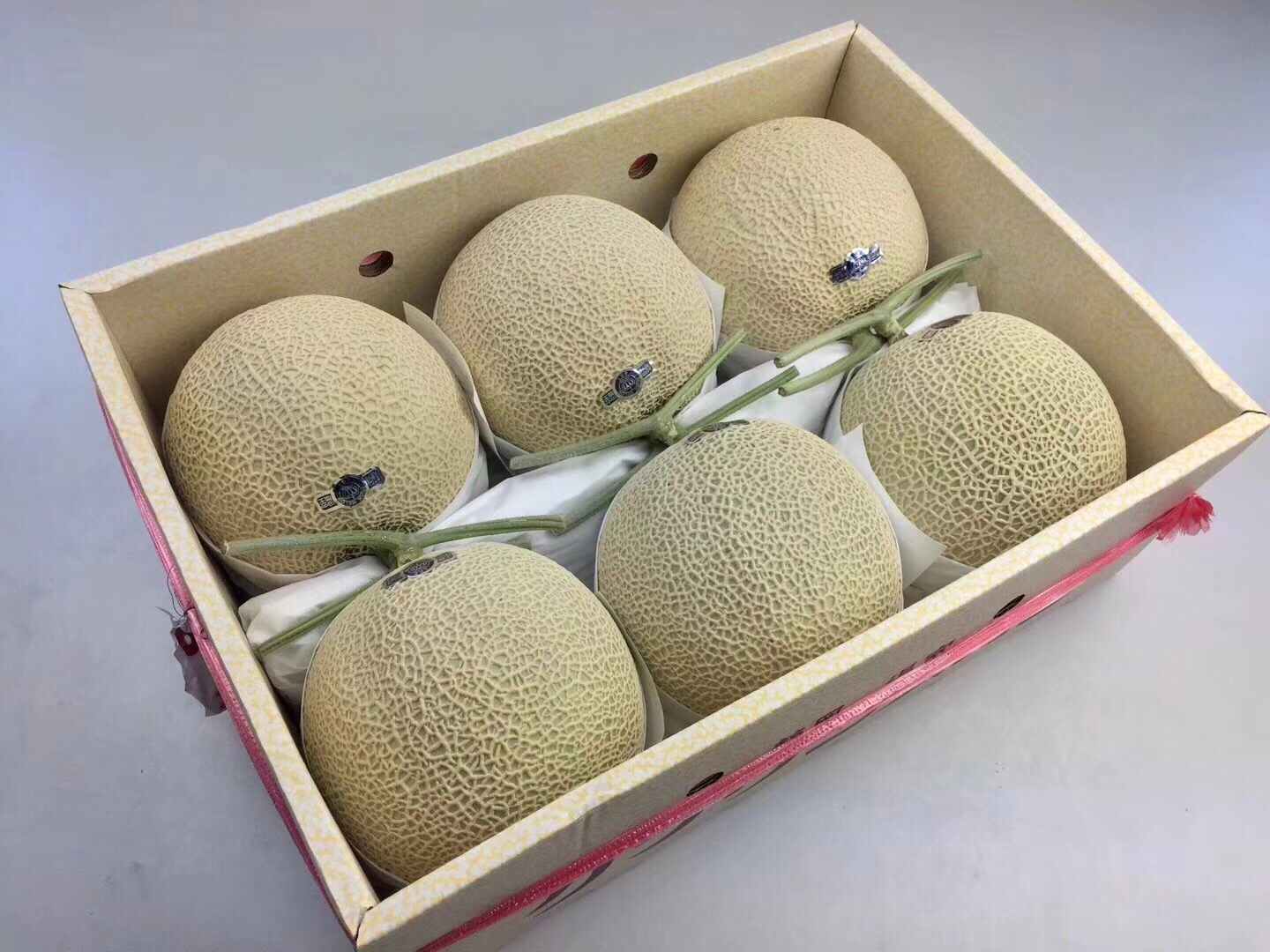 日本静冈山印温室网纹蜜瓜皇冠