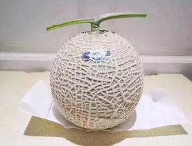 静冈温室网纹蜜瓜🍈 ——完全熟软后，浓浓的蜜瓜香气沁人心脾！一瓜一藤的专注