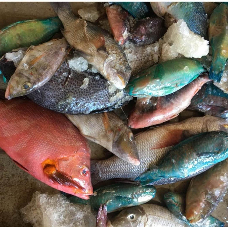 活色生鲜食品191215