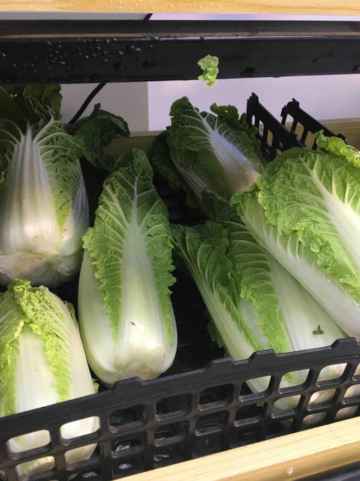 生态蔬菜娃娃菜 1颗/约350g   林晓晴的菜> 活动促销 零售价7元/350g>