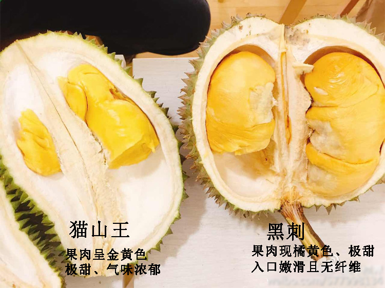 稀少且珍贵的黑刺榴莲【沪苏浙皖包邮，外地补运费差价】有着树上黄金之称，只闻其名未尝其味，实在可惜。甜度口感极佳，果肉嫩滑细腻，入口即化。还是优惠价，149元一斤。包装将近半斤，我们去掉称重，不做奸商!