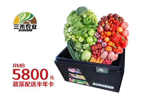 蔬菜半年卡 商品图0