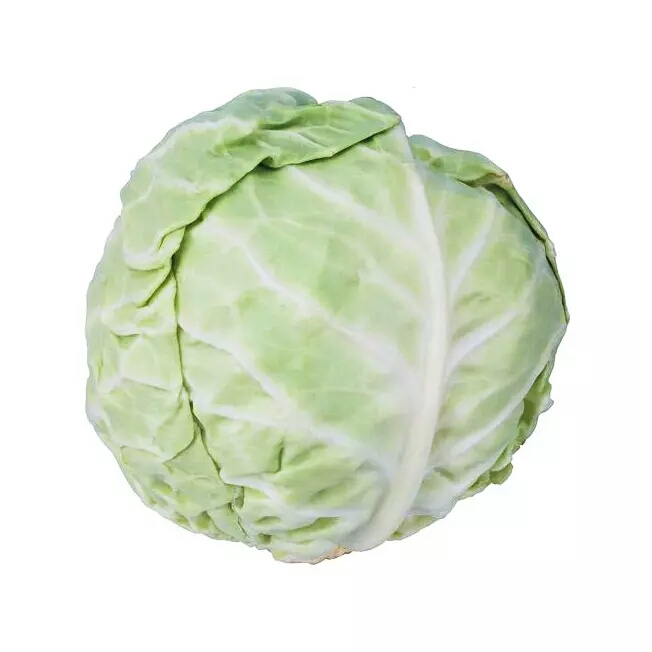 【新鲜】蔬菜 洋白菜 大头菜约1000g/个