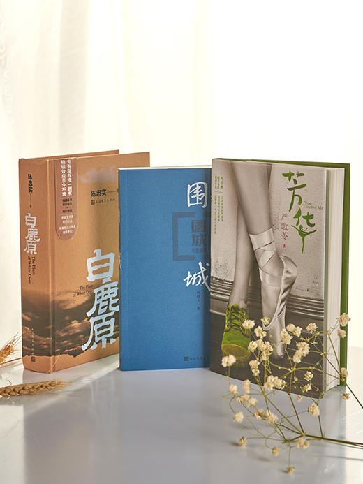 《芳华》+《白鹿原》+《围城》 商品图0