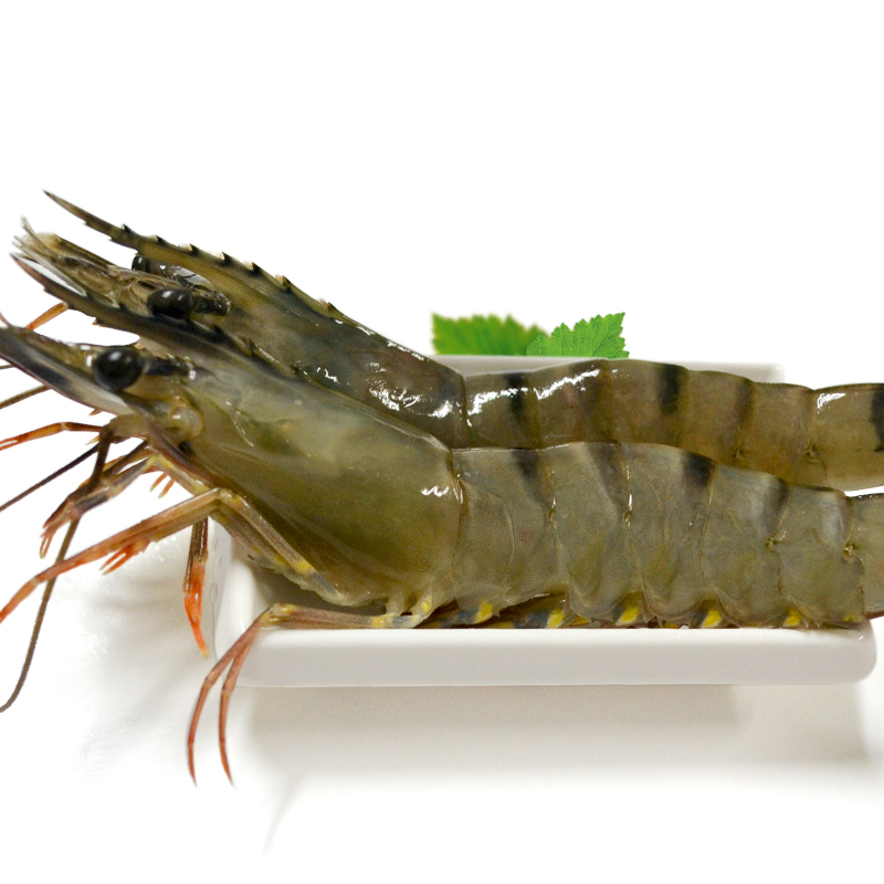 跃瀚 越南草虾(黑虎虾)(22-24只)500g