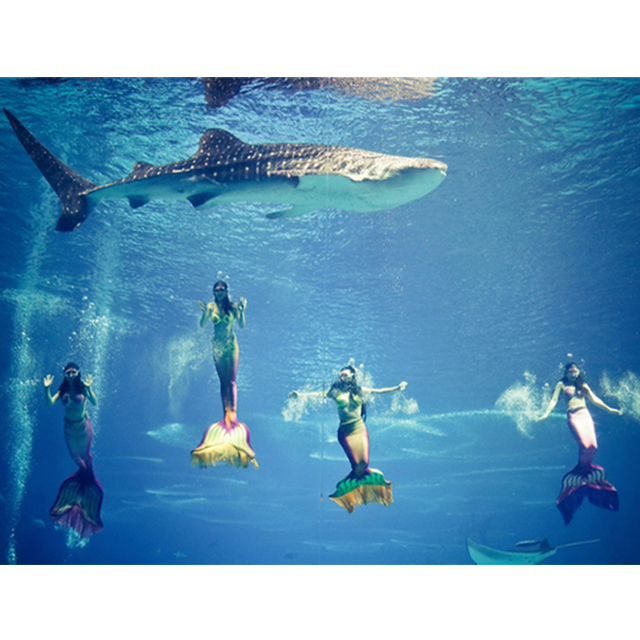 成都浩海立方海洋馆畅玩游门票